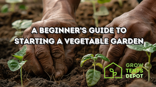A Beginner's Guide to Starting a Vegetable Garden