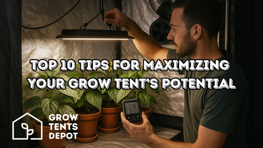 Top 10 Tips for Maximizing Your Grow Tent’s Potential