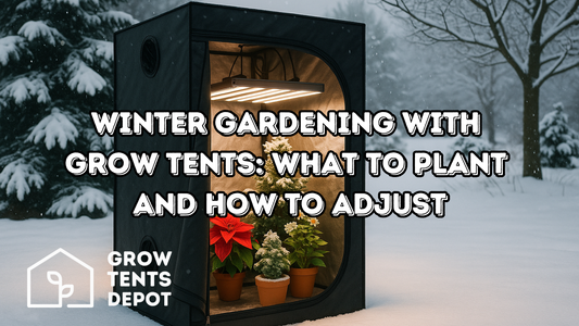 Winter Gardening with Grow Tents: What to Plant and How to Adjust