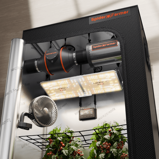 Spider Farmer SF2000 LED grow light, inline fan, and temperature controller in a 2' x 4' grow tent setup.