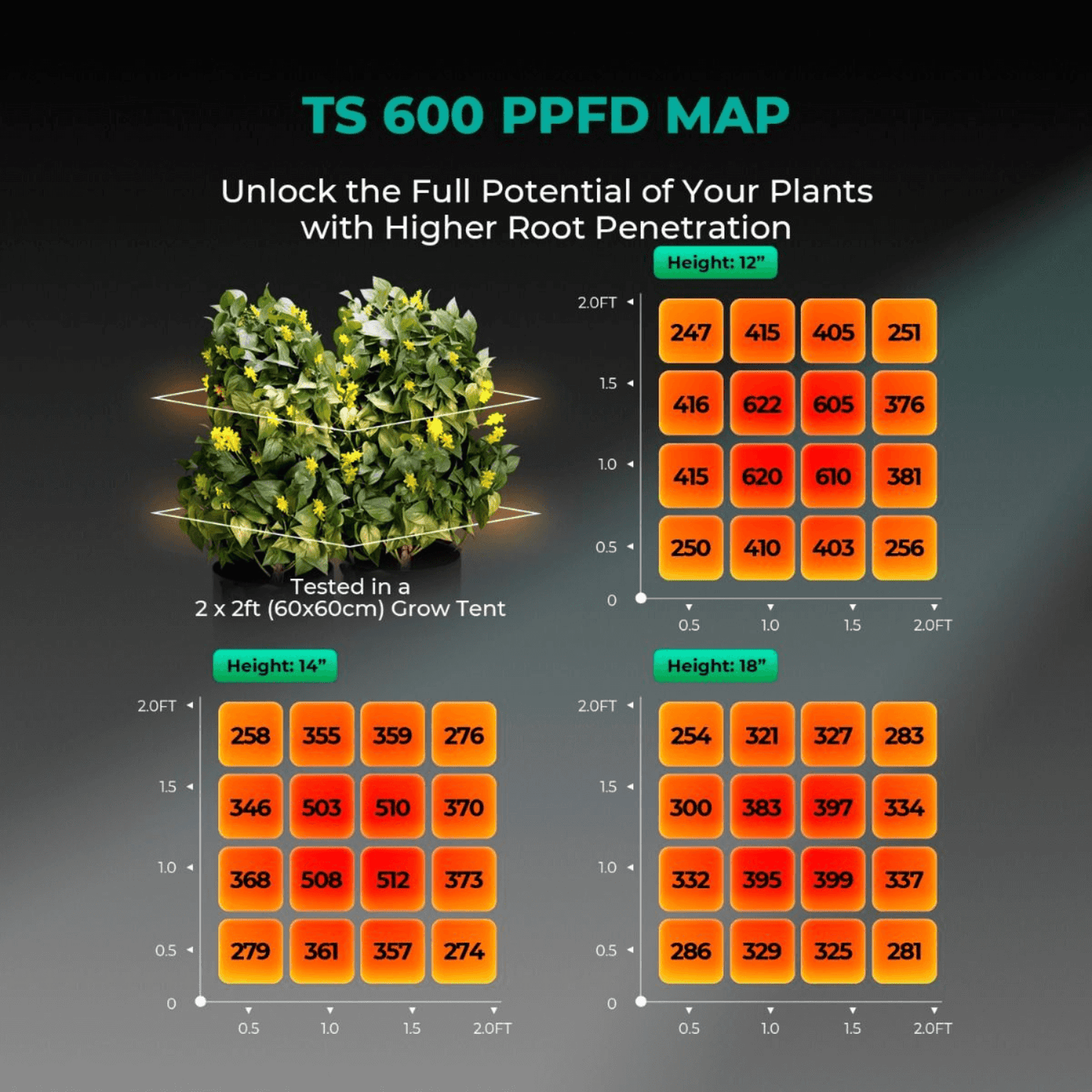 PPFD map for Mars Hydro TS 600 LED grow light showing light penetration at different heights in a 2x2 ft grow tent.