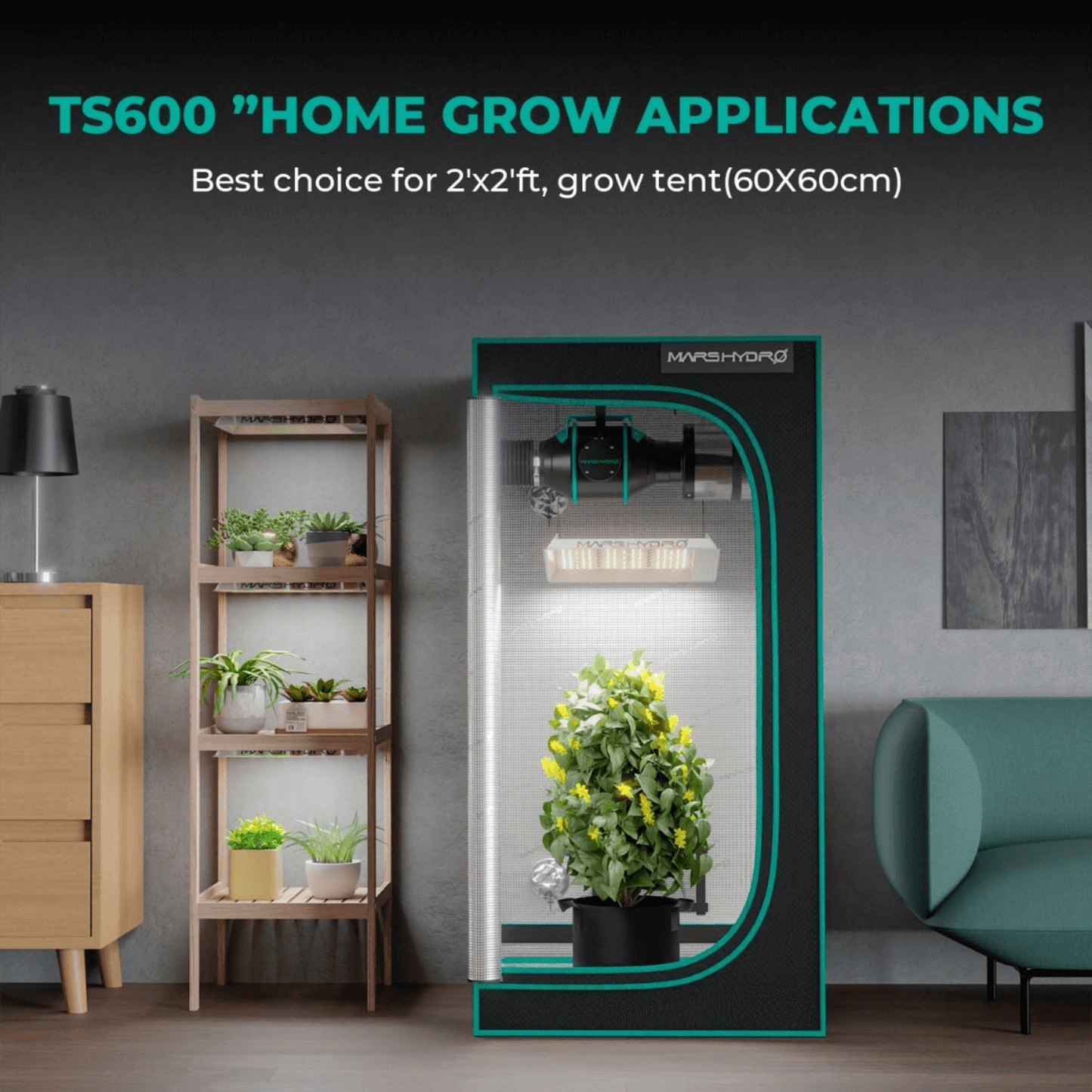 Mars Hydro TS600 LED grow light setup in a 2x2 ft grow tent, ideal for indoor gardening.