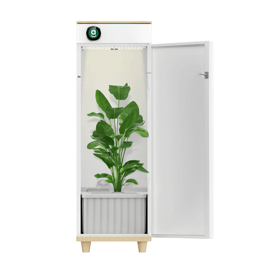Hey abby Automated Indoor Growbox 420 Edition | Hey abby Automated Grow Box 420 Edition | Grow Tents Depot | Planting & Watering | 734896542336