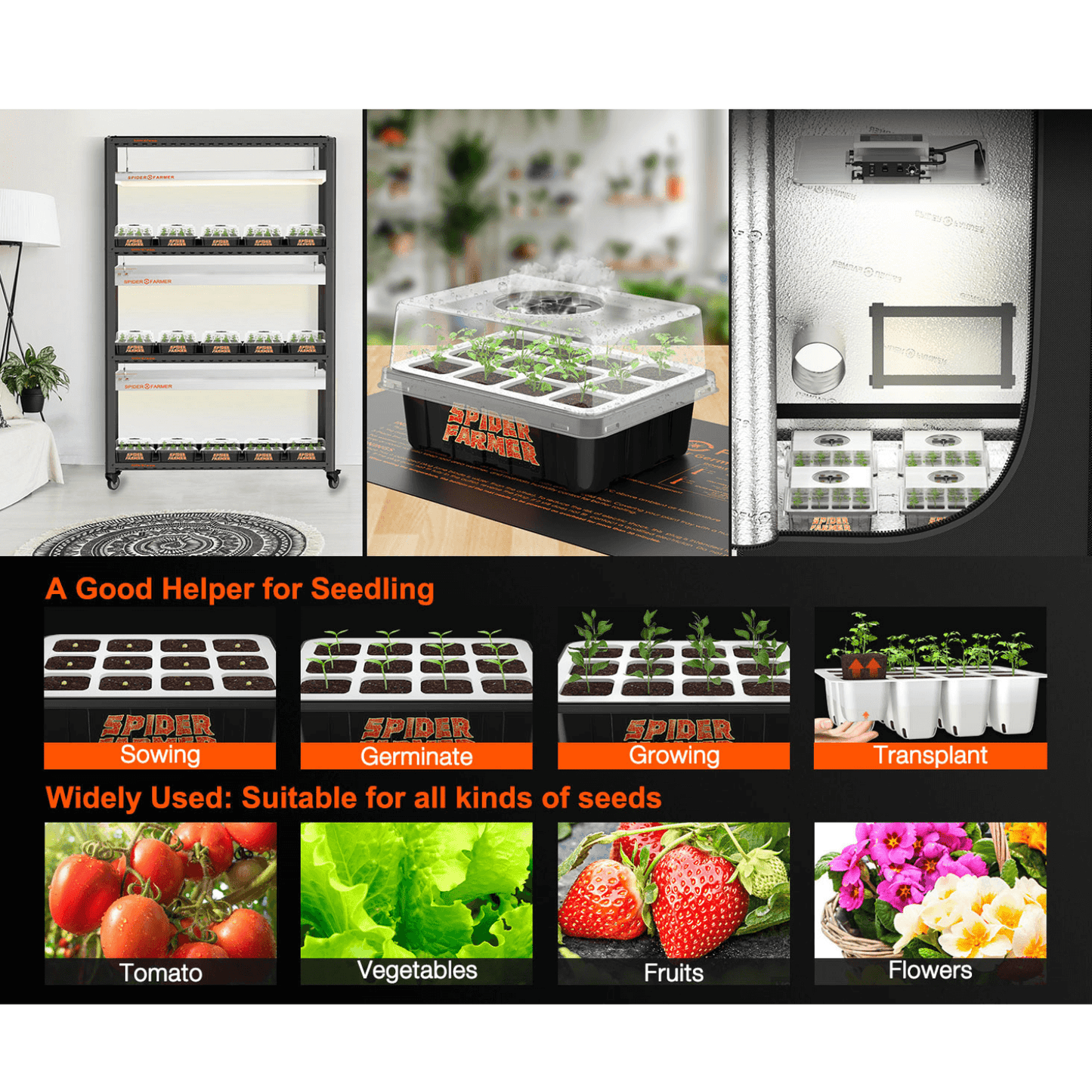 Spider Farmer Seed Starting Trays 2 Pack | SPIDER-SF-Seedtray-C | Grow Tents Depot | Planting & Watering | 6973280379576