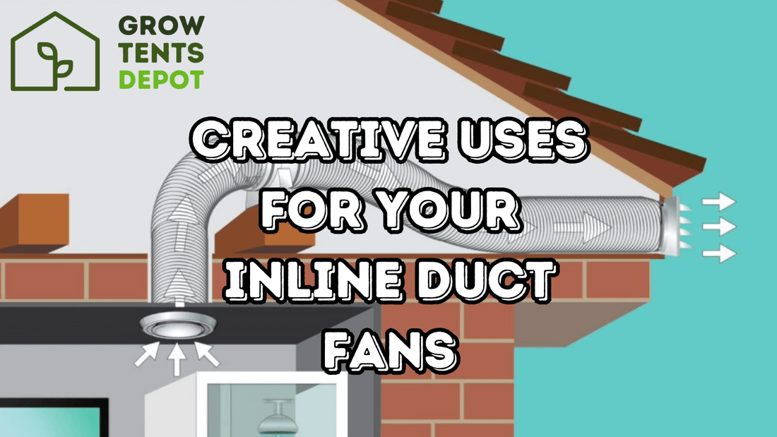 Creative uses for inline duct fans by Grow Tents Depot in ventilation illustration.