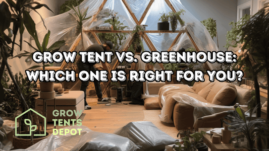 Indoor garden setup with grow tent and greenhouse options for plant enthusiasts.