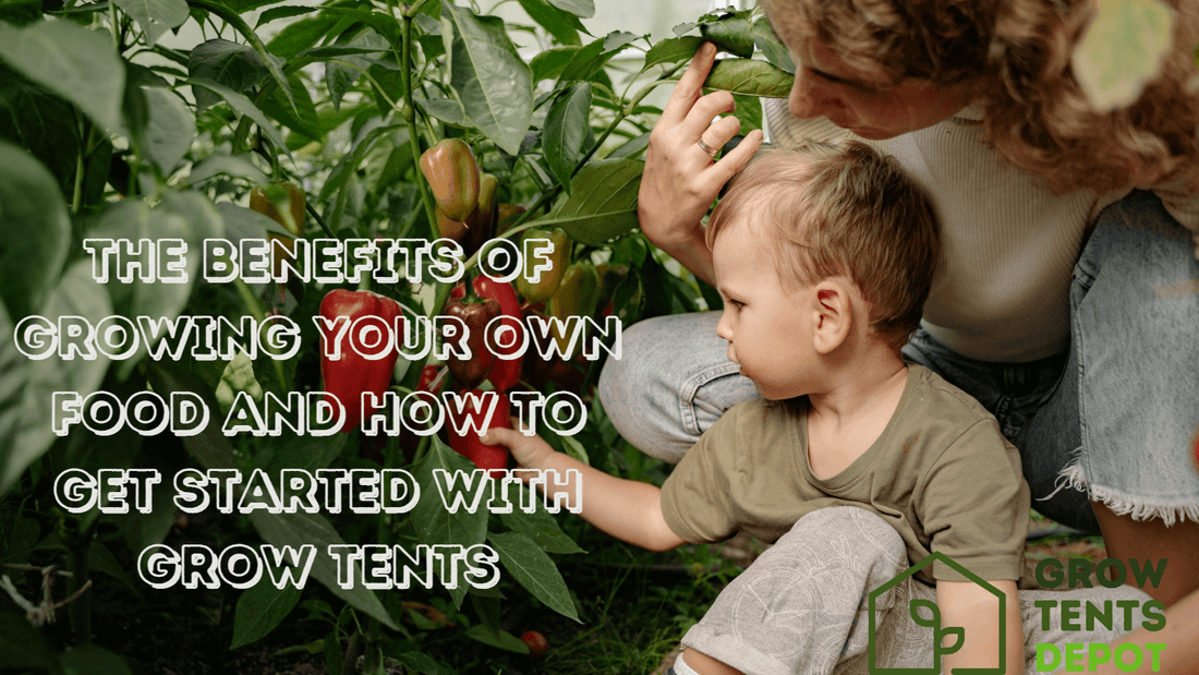 Parent and child exploring garden plants, highlighting benefits of growing food with a grow tent.