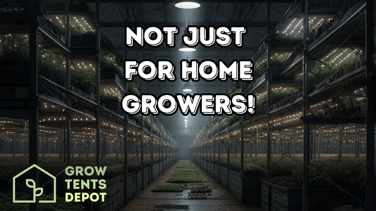 "Grow Tents Depot promoting products for all growers, not just home hobbyists, in a professional greenhouse setting"