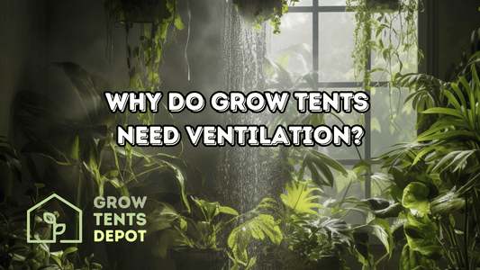 "Grow tent filled with lush plants emphasizes the importance of ventilation for temperature control and plant health."