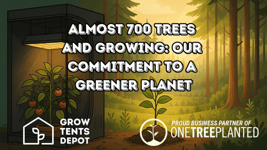 Almost 700 Trees and Growing: Our Commitment to a Greener Planet