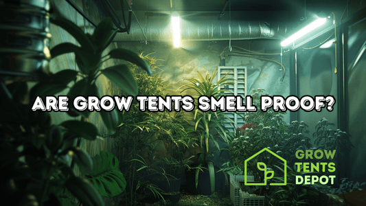 Are Grow Tents Smell Proof? Ah, the enticing world of indoor gardening. Whether you're a seasoned horticulturist or a newbie dipper dipping your toe in the verdant waters of homegrown, the question often arises – Are grow tents smell proof? Here at Grow T
