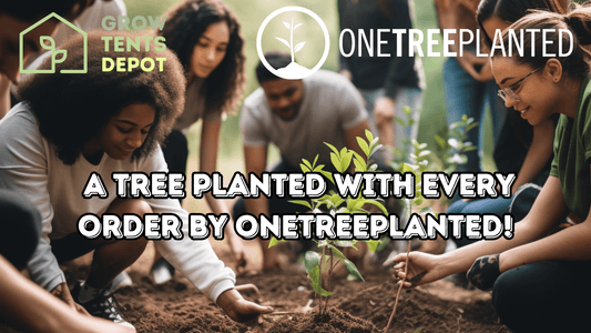 Group planting a tree with Grow Tents Depot and OneTreePlanted partnership, promoting eco-friendly purchases.