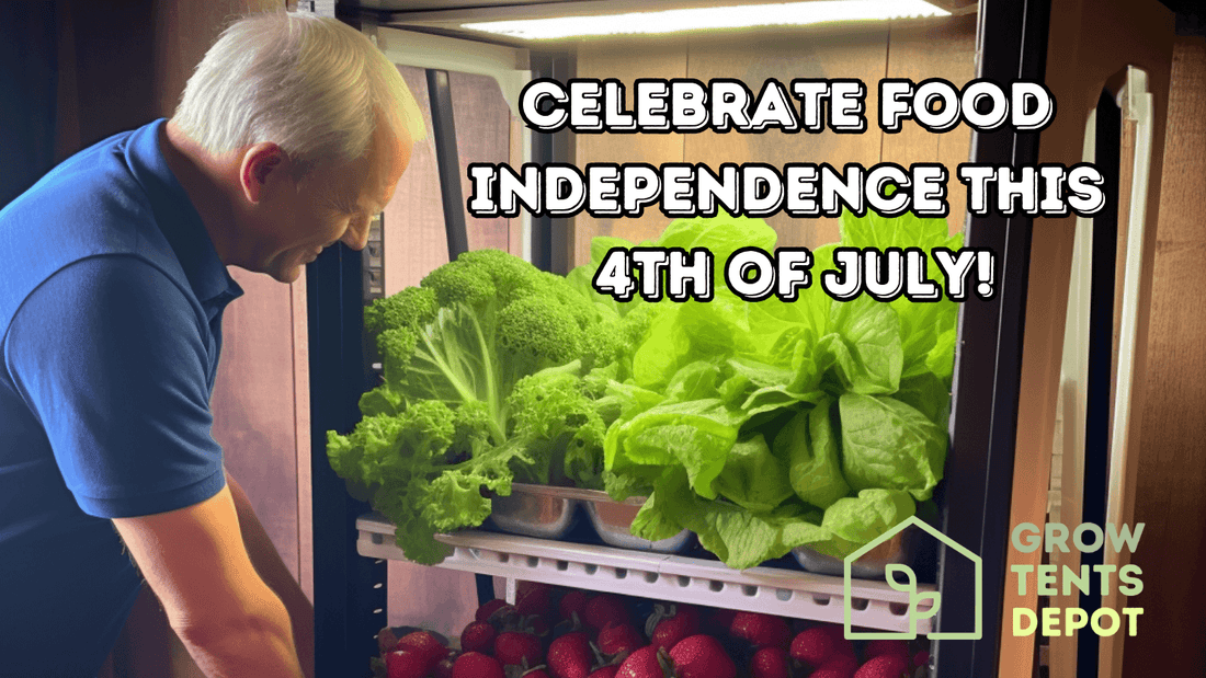 Man examines homegrown vegetables in indoor grow tent for 4th of July food independence with Grow Tents Depot logo.