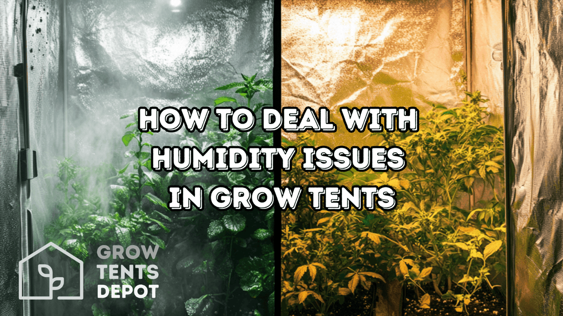 Comparison of grow tents showing humidity issues and healthy plants for indoor gardening tips.