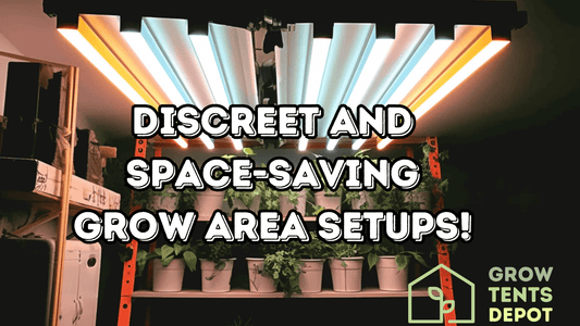 Indoor plants under LED grow lights in a discreet, space-saving setup with text "Discreet and Space-Saving Grow Area Setups."