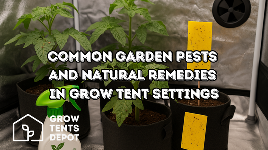 Common Garden Pests and Natural Remedies in Grow Tent Settings