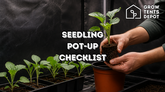 Indoor seedling pot-up checklist graphic showing a healthy seedling moved from a cell tray into a nursery pot, with Grow Tents Depot logo.