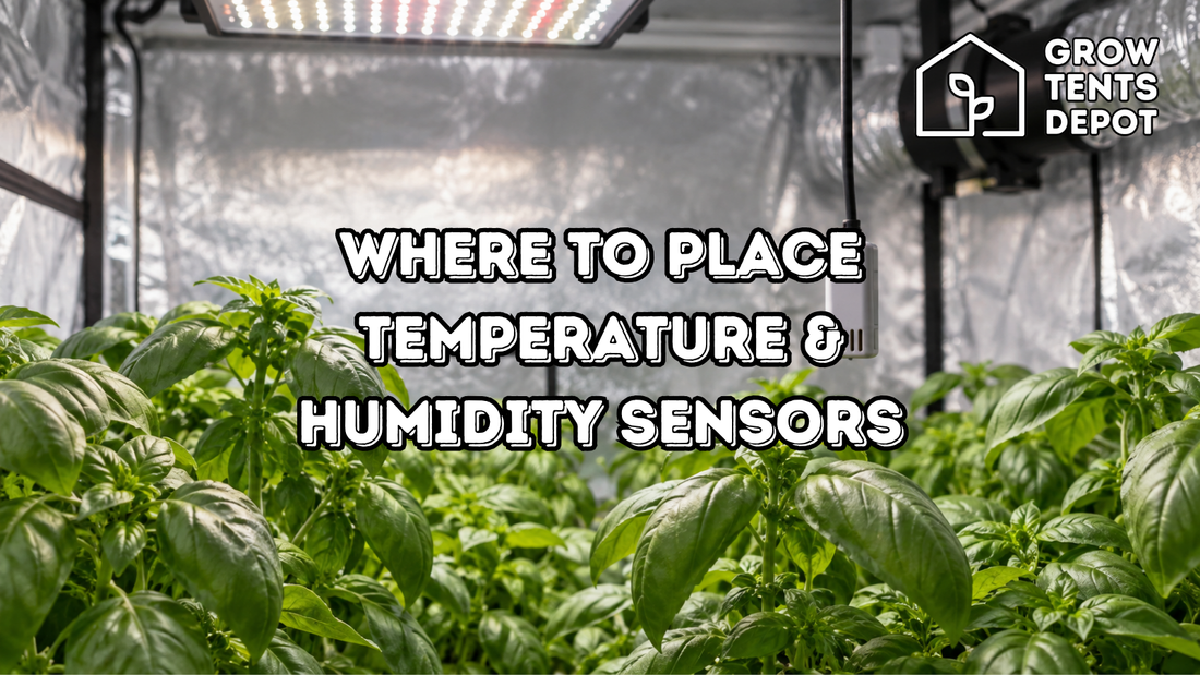 Humidity sensors illustrated near basil canopy inside a reflective grow tent, with the Grow Tents Depot logo.