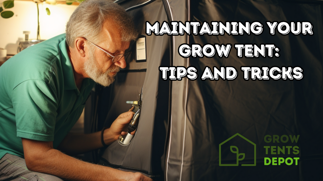 Maintaining Your Grow Tent: Tips and Tricks | Grow Tents Depot | A well-maintained grow tent can bring years of bountiful indoor gardening. Here are some key tips for keeping your tent in prime condition: Keep it Clean: Dust and debris can harm your plant