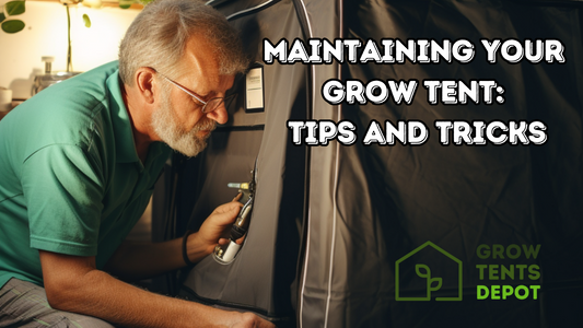 Maintaining Your Grow Tent: Tips and Tricks