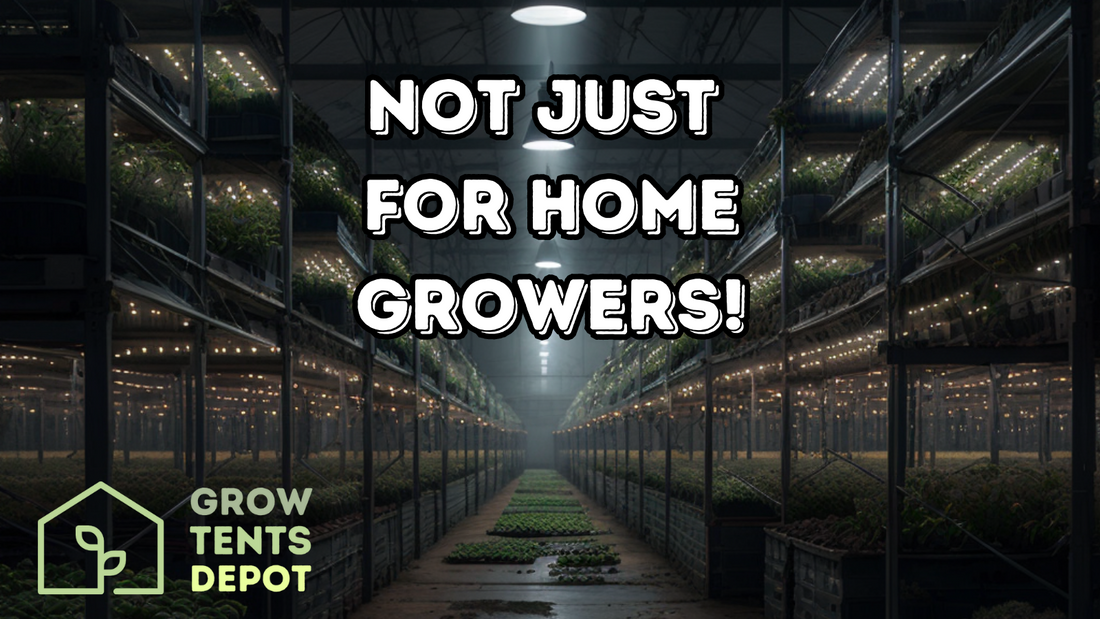 Not Just for Home Growers