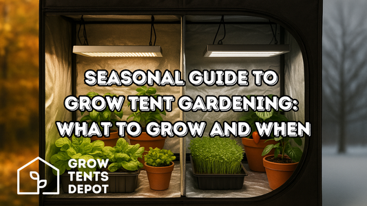 Seasonal Guide to Grow Tent Gardening: What to Grow and When