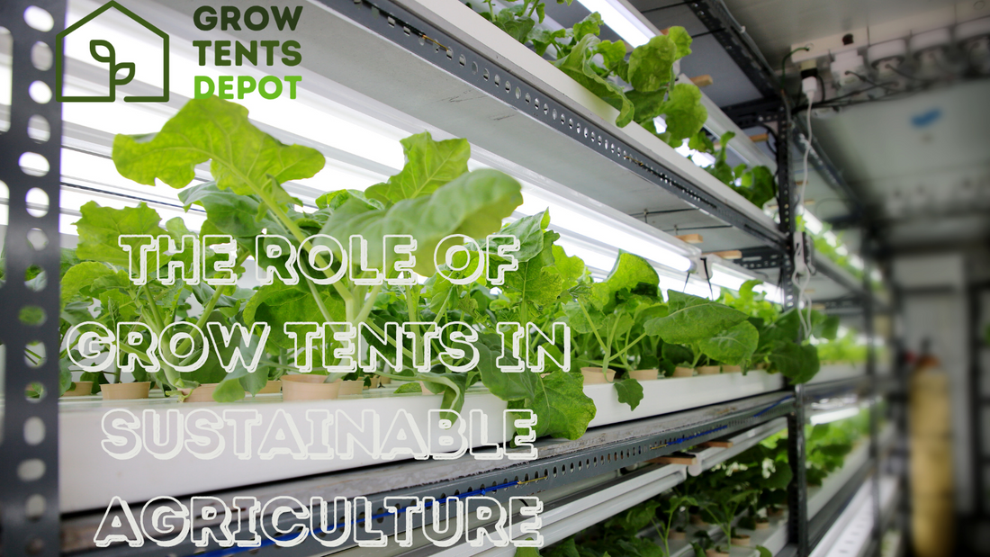 The Role of Grow Tents in Sustainable Agriculture