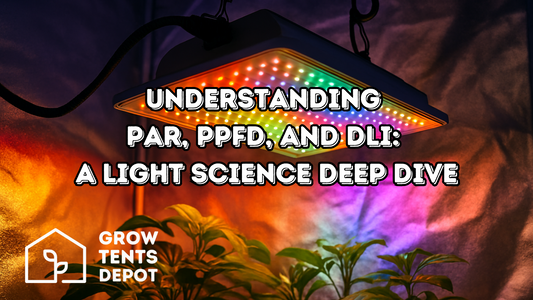 Understanding PAR, PPFD, and DLI: A Light Science Deep Dive