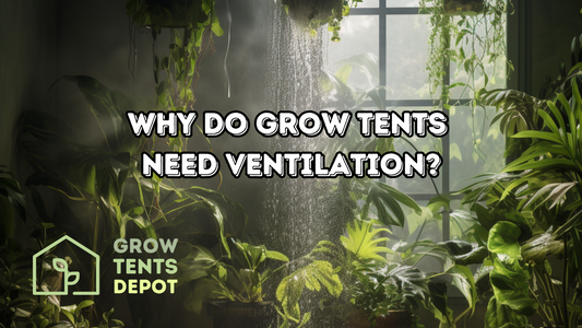 Why Do Grow Tents Need Ventilation? | Grow Tents Depot | Ventilation is the unsung hero of a successful grow tent setup. Its importance might be overlooked, but here's why it's vital: Temperature Control: Grow lights produce heat. Without proper ventilati