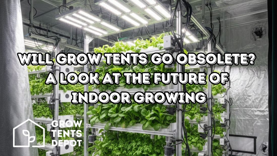 Will Grow Tents Go Obsolete? A Look at the Future of Indoor Growing