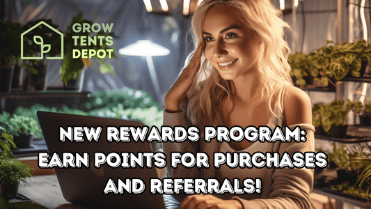 Smiling woman using laptop in indoor garden, promoting new rewards program for purchases and referrals.