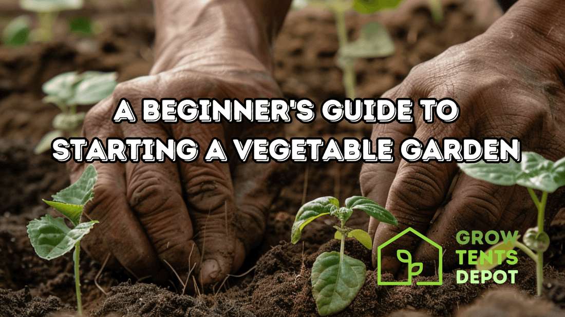 Hands planting seedlings in soil for beginner's vegetable garden guide by Grow Tents Depot.