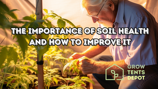 The Importance of Soil Health and How to Improve It | Grow Tents Depot | Hello, indoor gardening enthusiasts! Welcome back to Grow Tents Depot, where today, we're zeroing in on a crucial aspect of your indoor garden: soil health. Understanding and enhanci