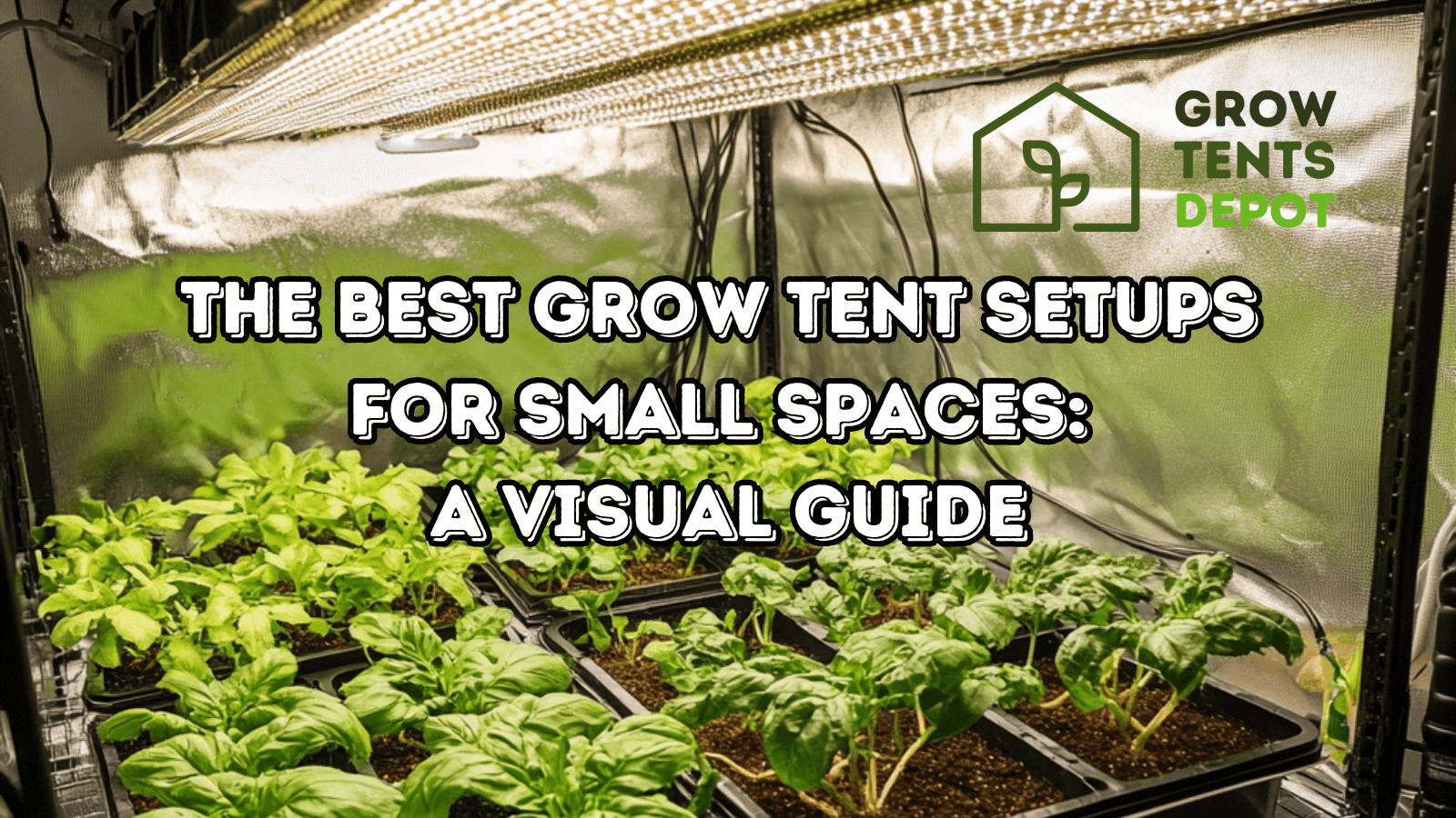 Best Grow Tent Setups for Small Spaces