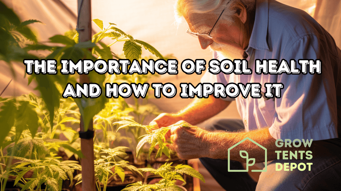 Elderly gardener tending plants in grow tent, highlighting soil health importance and improvement tips by Grow Tents Depot.