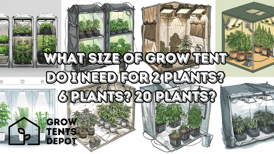 Different grow tent sizes for 2, 6, and 20 plants with text overlay and Grow Tents Depot logo.