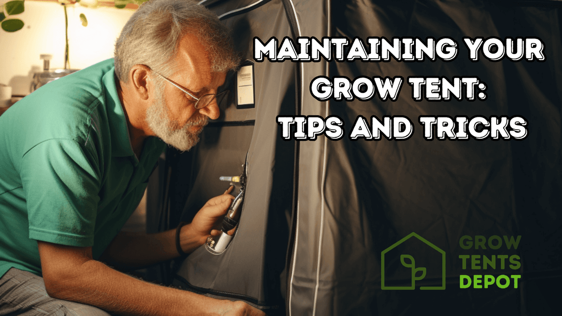 Elderly man maintaining grow tent with spray bottle, highlighting indoor gardening tips and tricks for optimal plant health.