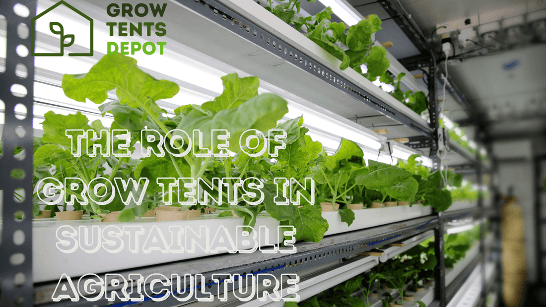 Interior view of a grow tent with lush green plants showcasing sustainable agriculture practices.