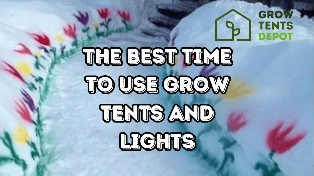 "Best time to use grow tents and lights, colorful flowers, Grow Tents Depot logo, article for indoor gardening enthusiasts"