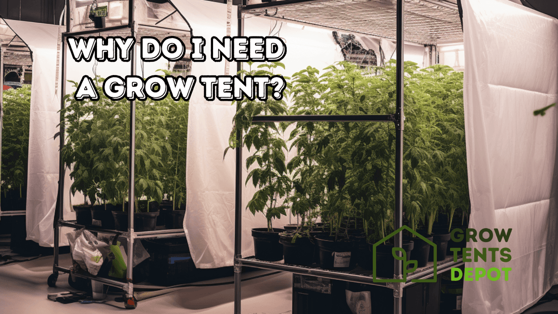 Indoor grow tents with plants, highlighting space-saving gardening solutions. Text overlay: "Why Do I Need a Grow Tent?"