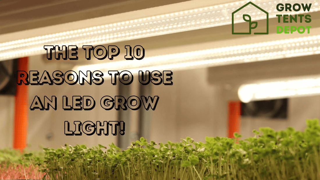 LED grow lights illuminating indoor garden with text highlighting top 10 reasons to use LED grow lights for energy efficiency and growth.