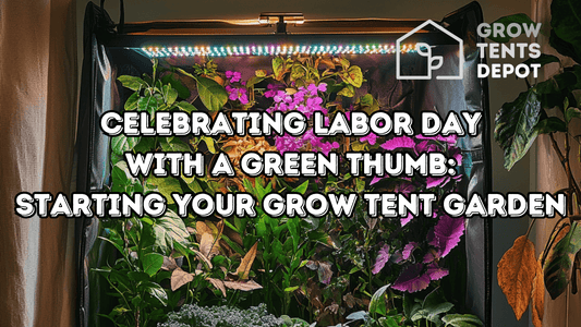 Grow tent garden setup for Labor Day indoor gardening with vibrant plants.