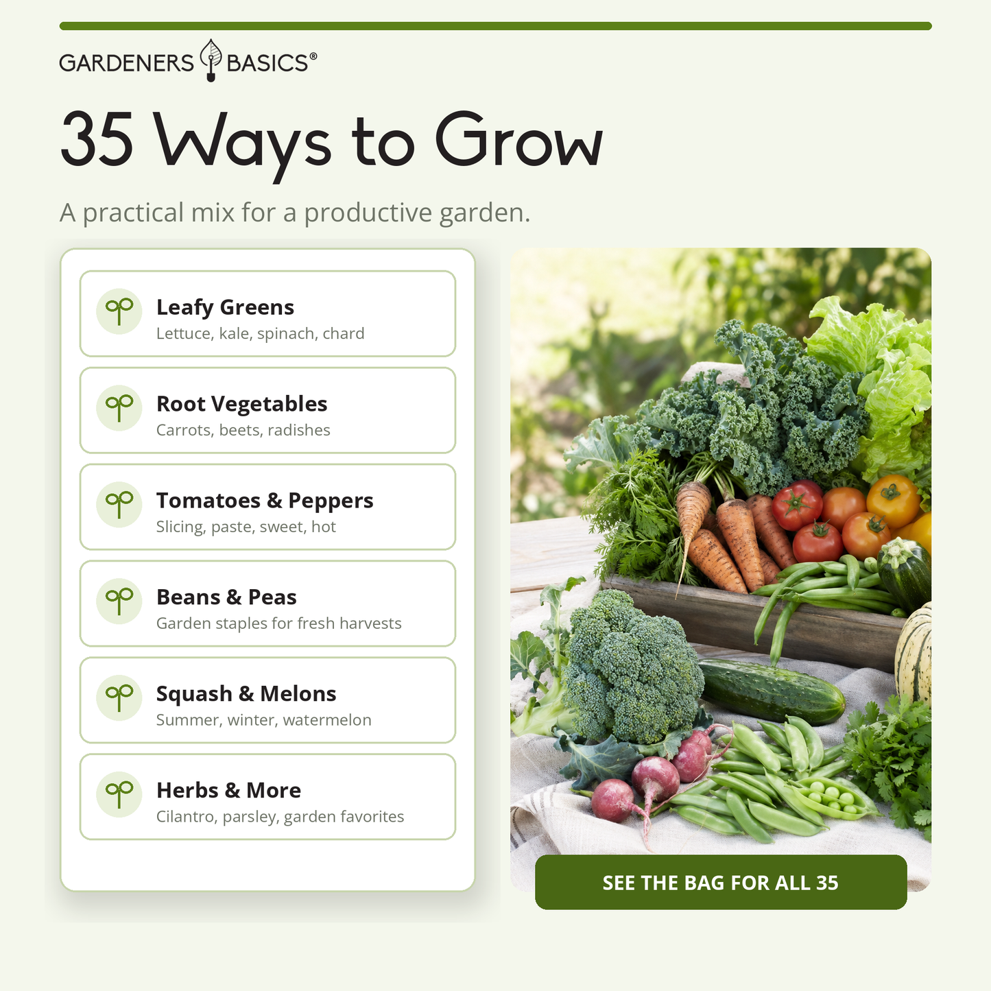 Gardeners Basics Seed Safe Survival Seed Kit - 35 Variety Pack