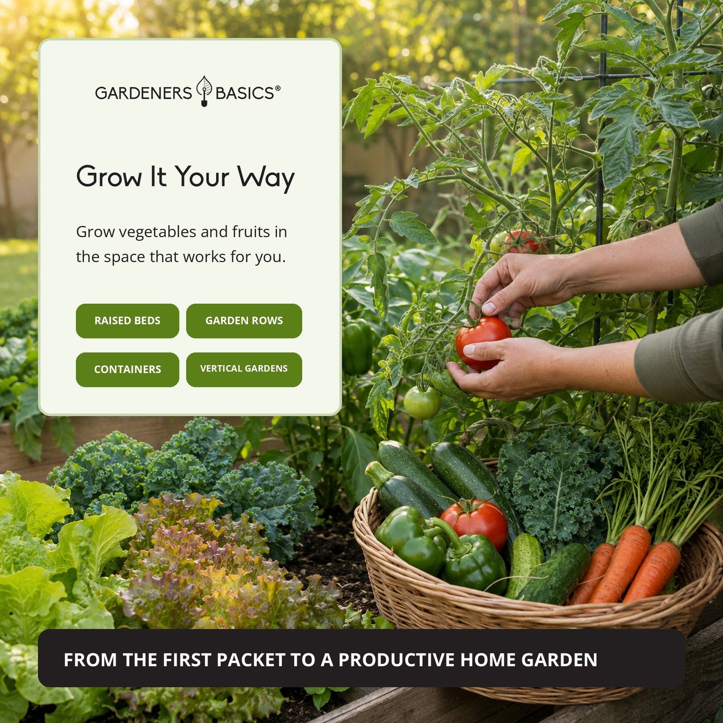 Gardeners Basics Vegetable Seed Vault Kit | 35 Variety Pack