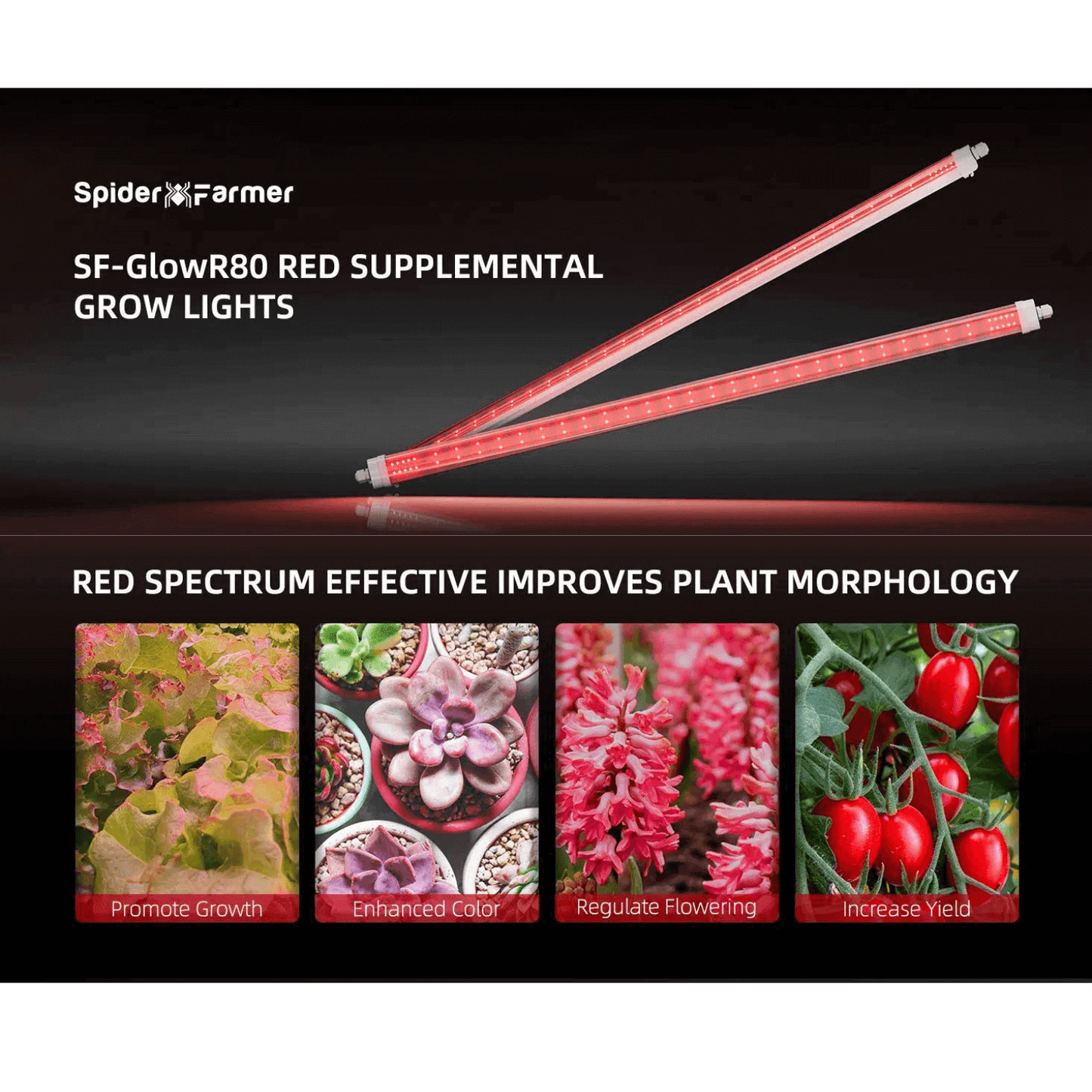 Spider Farmer GlowR80 80W 660nm Supplemental Deep Red LED Grow Light SPIDER-SF-GlowR80 Grow Lights