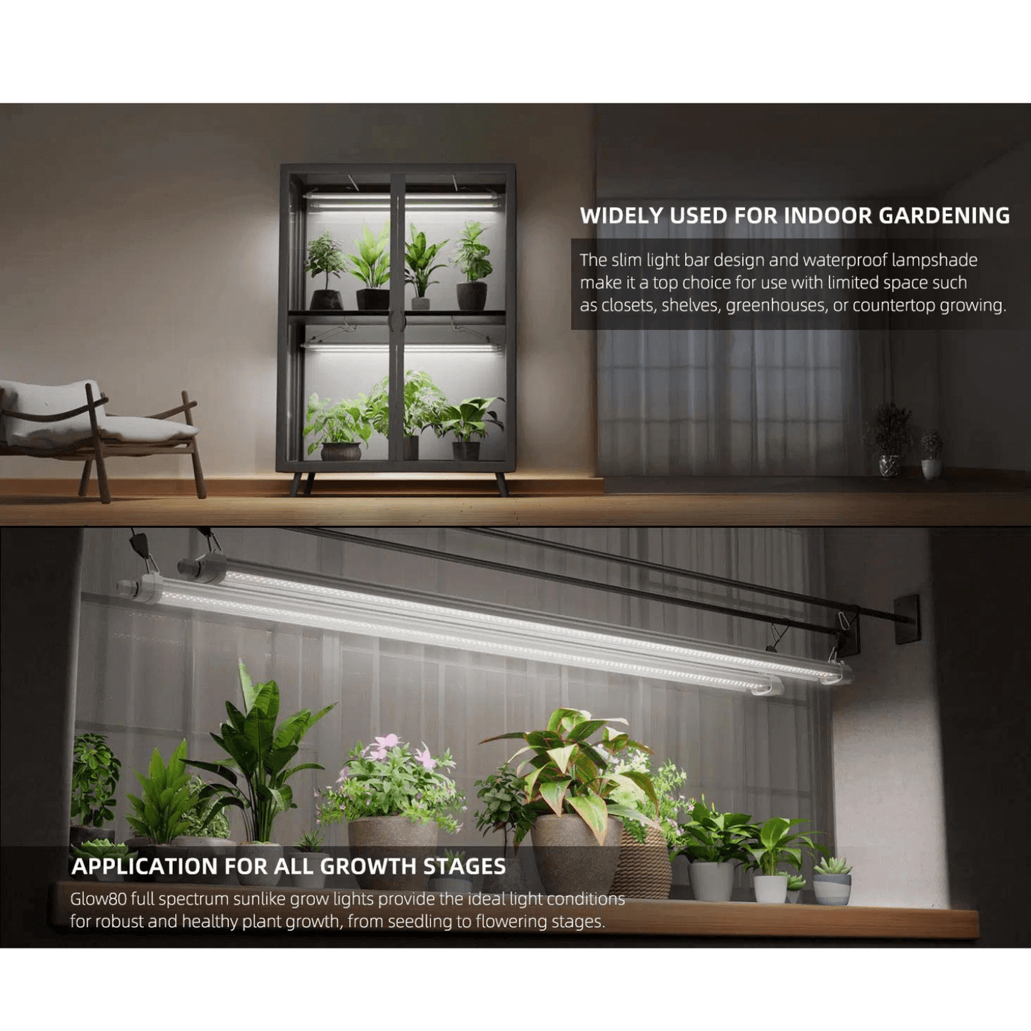 Indoor gardening with Spider Farmer Glow80 LED grow light and plant stand for full spectrum growth in limited spaces.