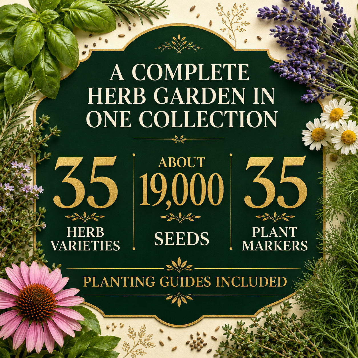 Gardeners Basics Popular Herb Seeds for Planting | 35 Variety Pack