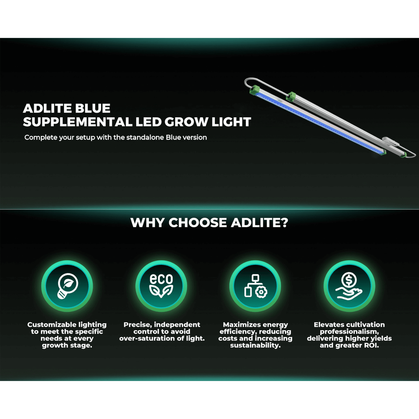 ADlite Blue supplemental LED grow light bars showcasing their features and benefits for enhanced plant growth.