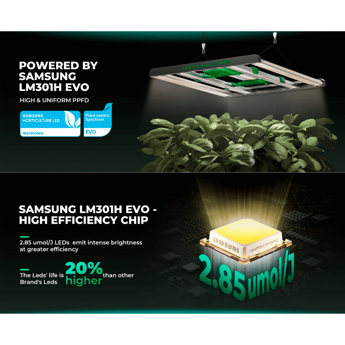 Samsung LM301H EVO LED grow light features and benefits for optimal plant growth.