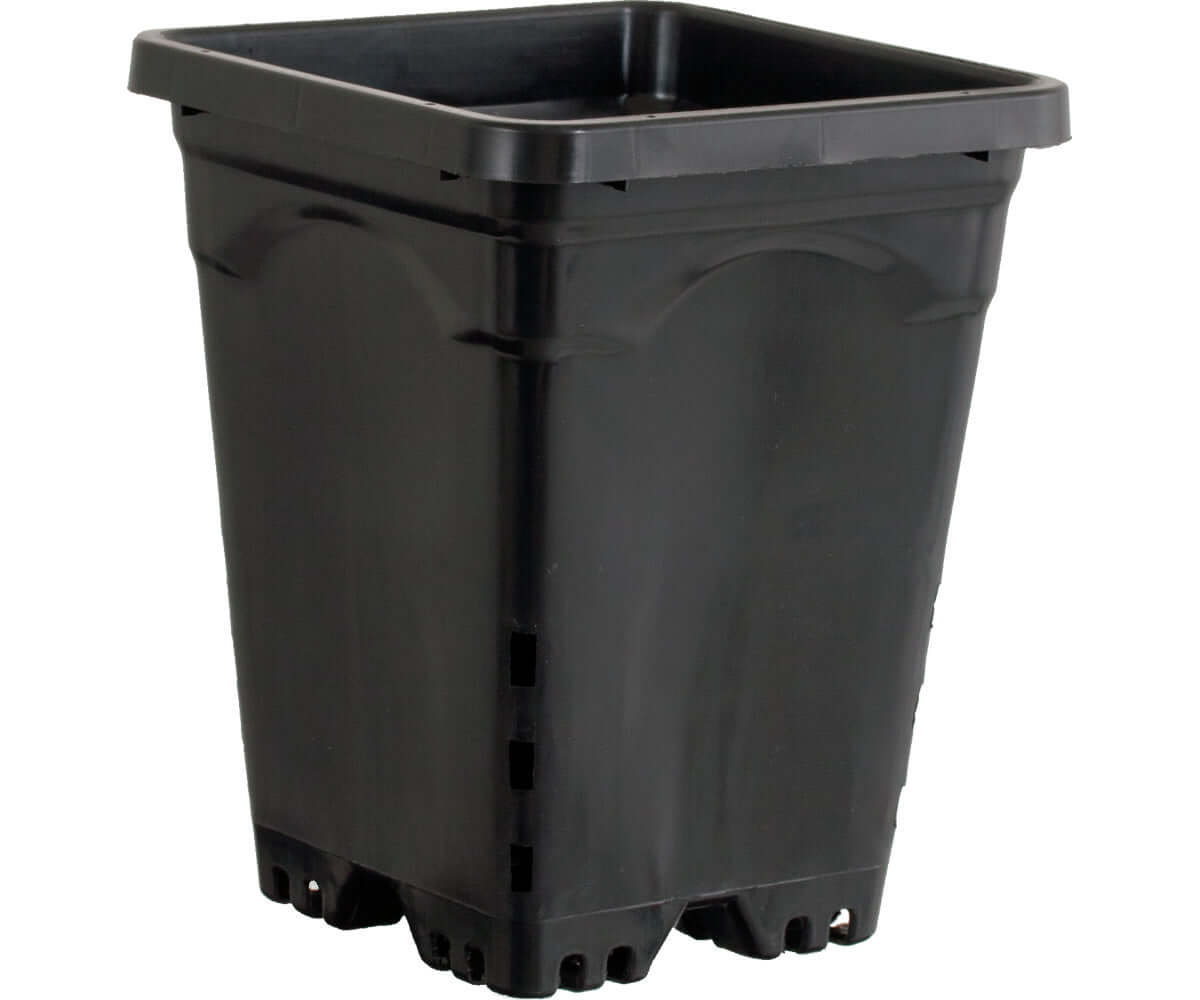 Active Aqua 7" x 7" Square Black Pot 9" Tall case of 50 product image 1